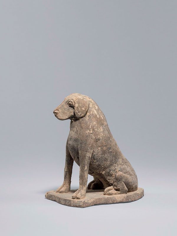 Pottery hound Northern Wei dynasty